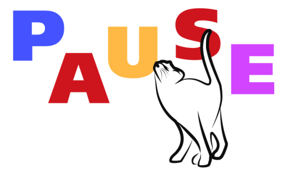 Pause in der Maine Coon Zucht